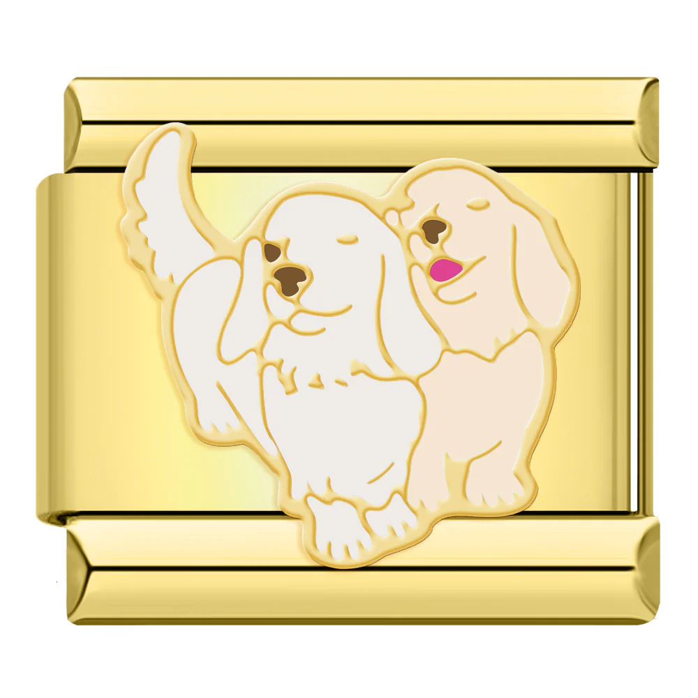 Zwei Hunde